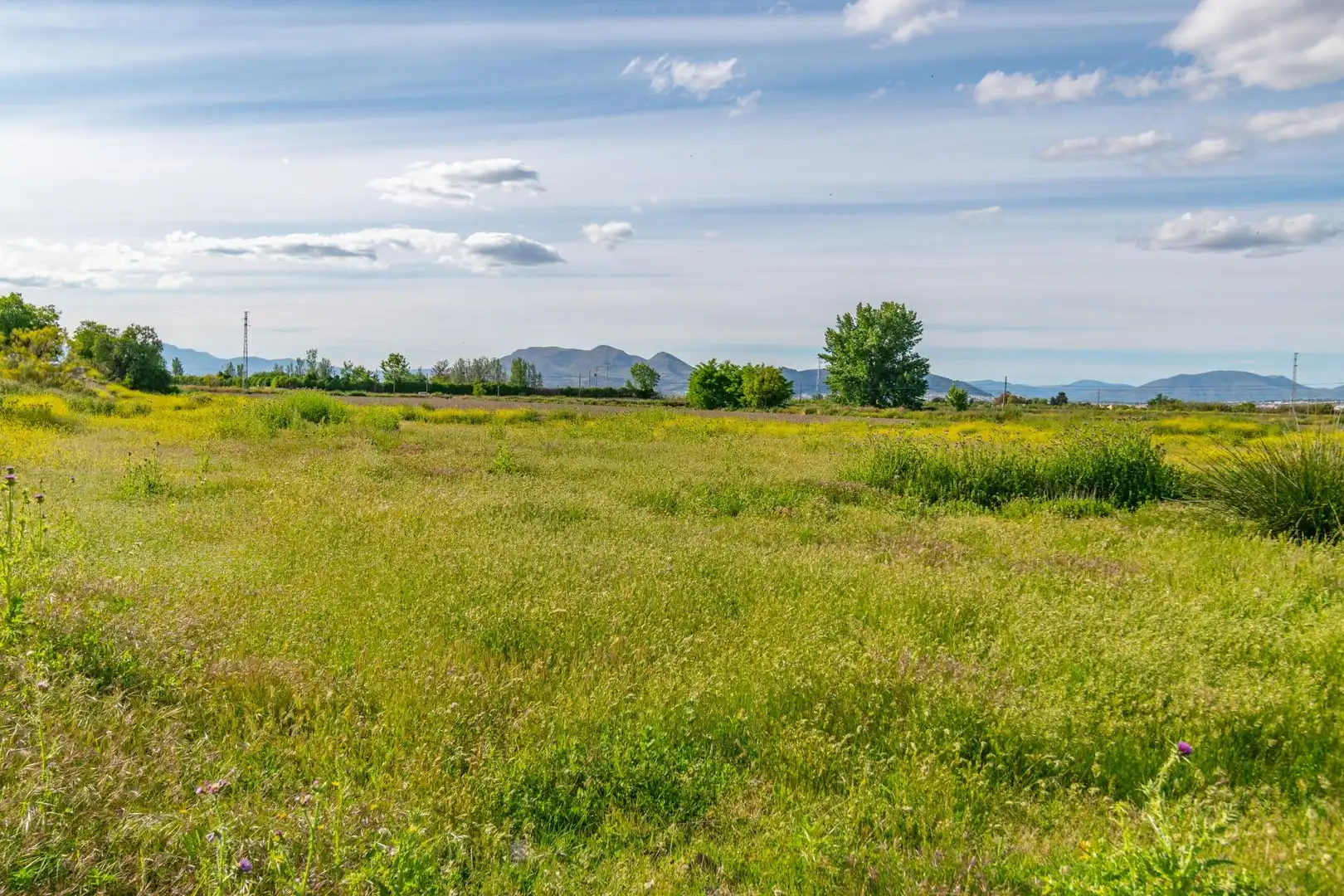 Lands and plots for sale in Polígono 9 Parcela 307 MARACHAT. GRANADA (GRANADA, imagen 26