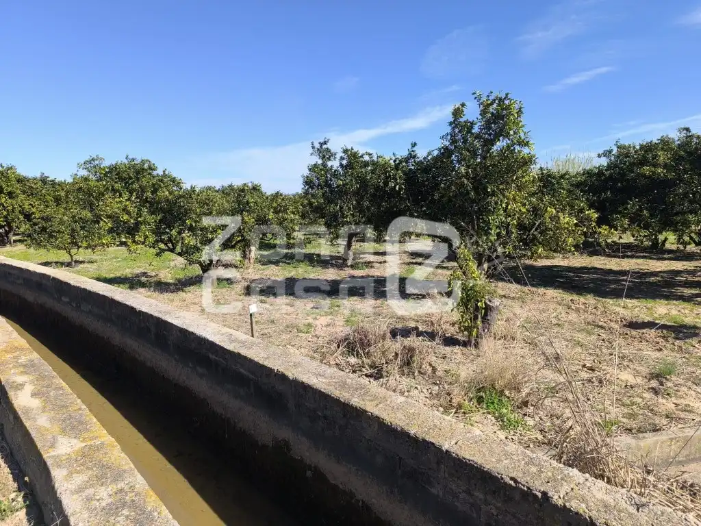 Country house for sale in Partida Barqueta La, imagen 5