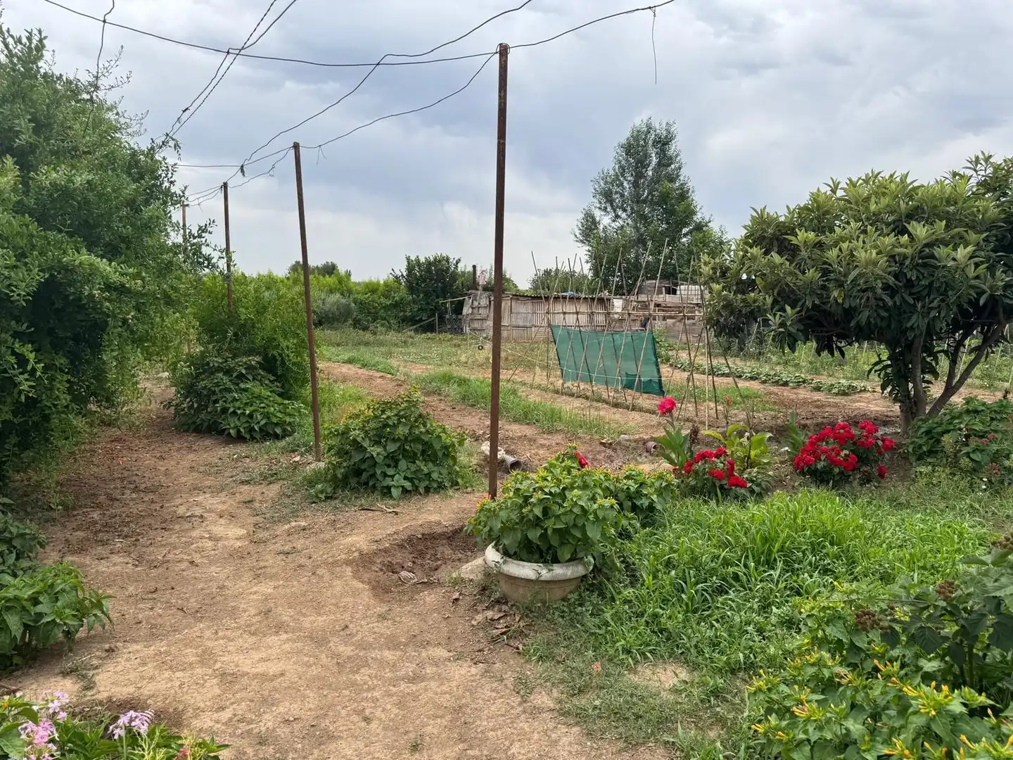 Casa con piscina en venta en Partides de Lleida, imagen 46