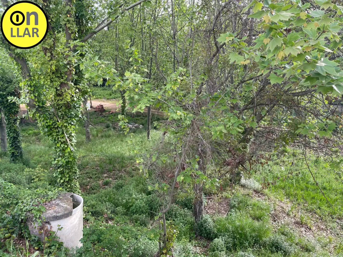 Residential land for sale in Calle Alzina, imagen 7