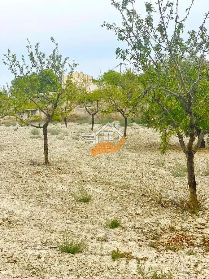 Terrenos y solares en venta en Vélez-Blanco, imagen 8