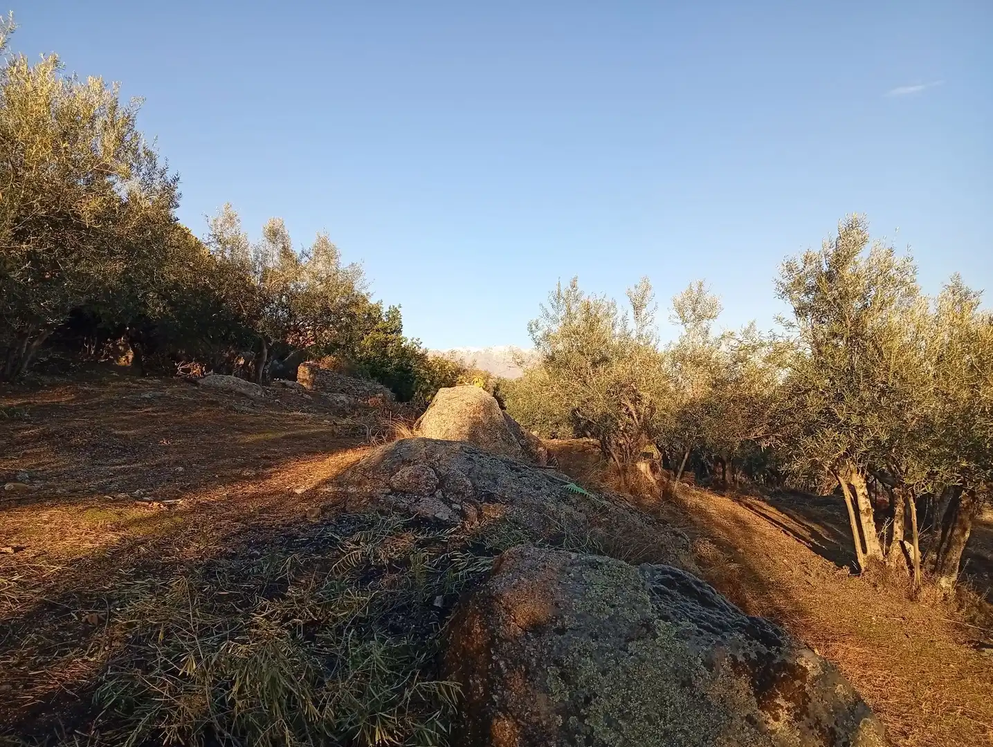 Terreni e lotti in vendita a Villanueva de la Vera, imagen 54