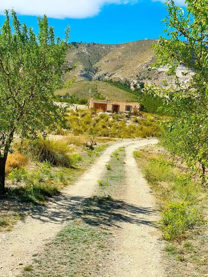 Terreni e lotti in vendita a Pedanías Norte