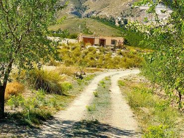 Wohnbaugrundstück zum Verkauf in Pedanías Norte