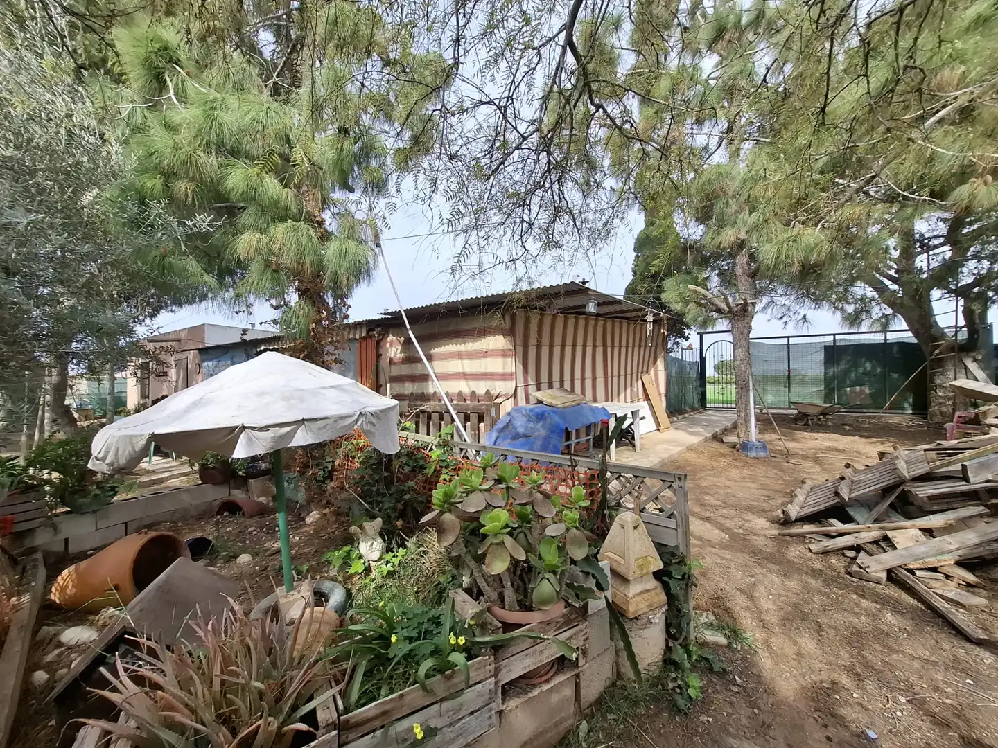 Finca rústica en venda a Partida Saavedra, El Edén