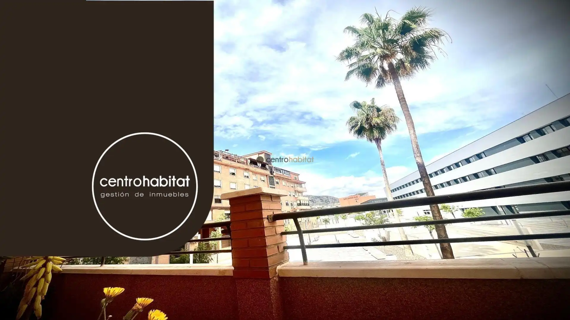 Vista exterior de Piso en venta en Petrer con Aire acondicionado, Terraza y Trastero