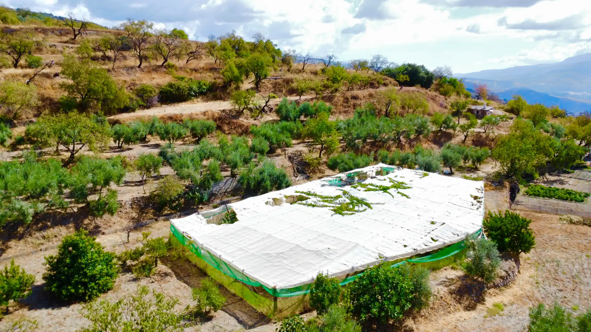 Terreno rustico in vendita a N/A, imagen 4