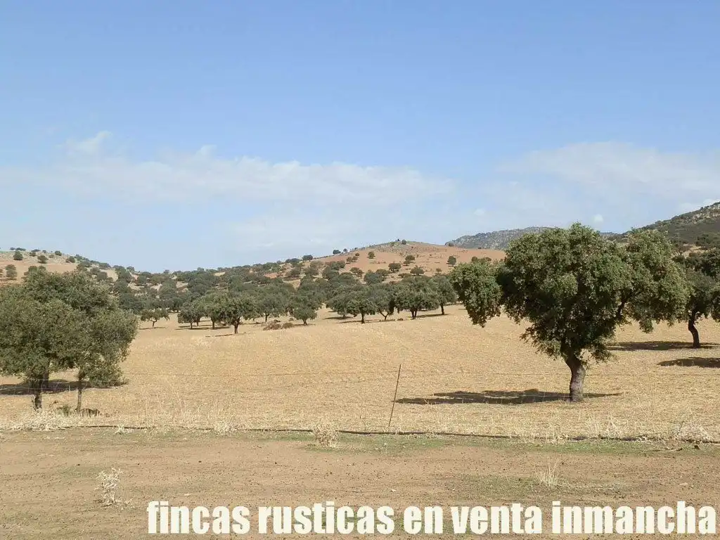Terreni e lotti in vendita a Peñalsordo, imagen 3