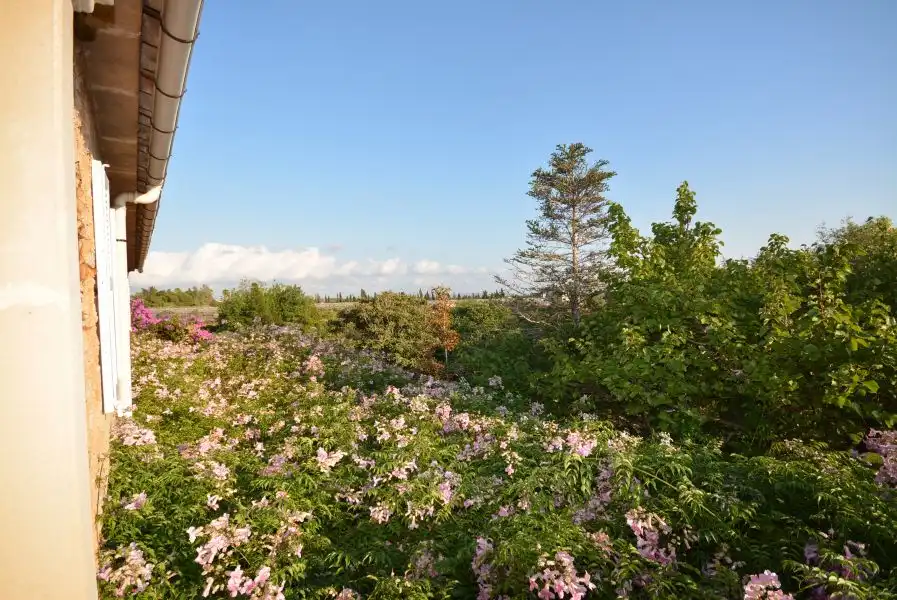 Jardí de Finca rústica en venda en Marratxí amb Aire condicionat, Calefacció i Jardí privat