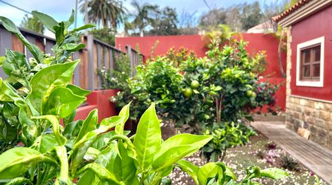 Photo 4 of House or chalet for sale in Tegueste, Santa Cruz de Tenerife