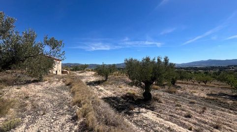 Foto 5 de Finca rústica en venta en Castalla, Alicante
