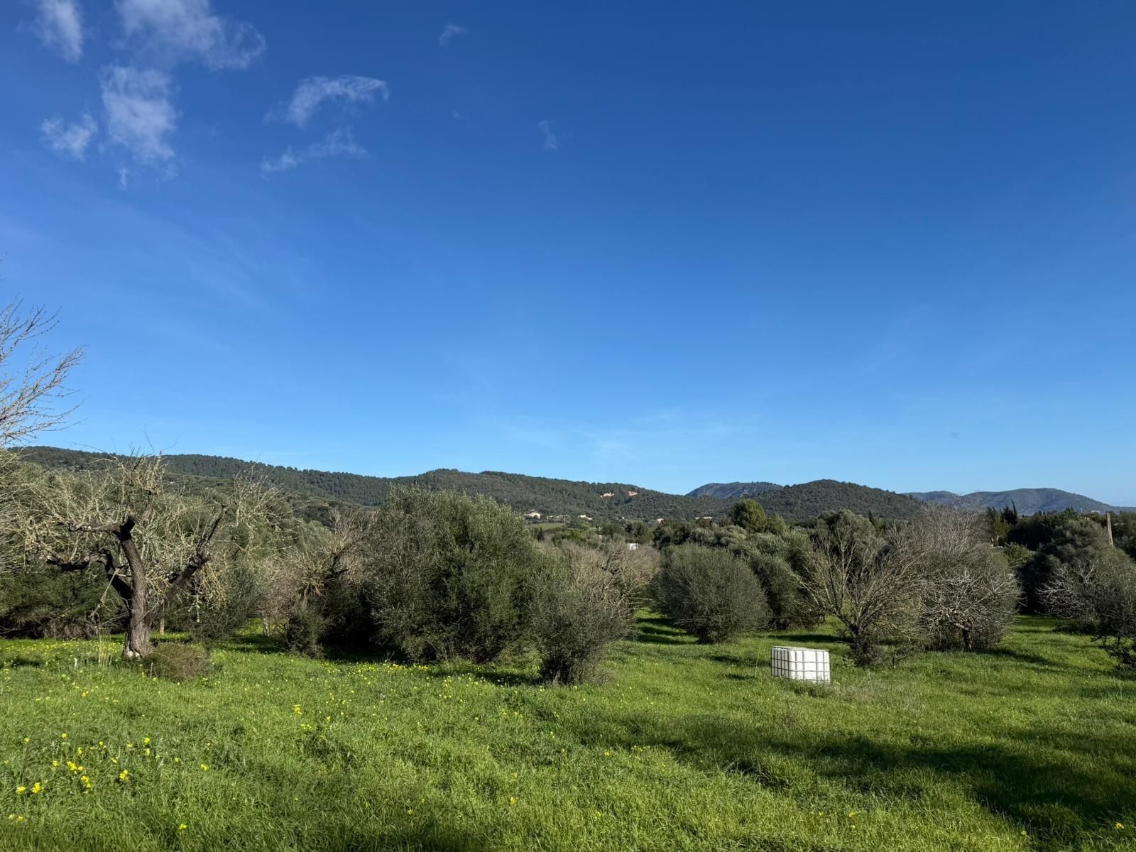 Residential for sale in Campanet