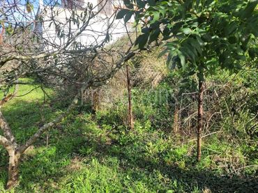Terreni e lotti in vendita a Otañes-Baltezana-Ontón