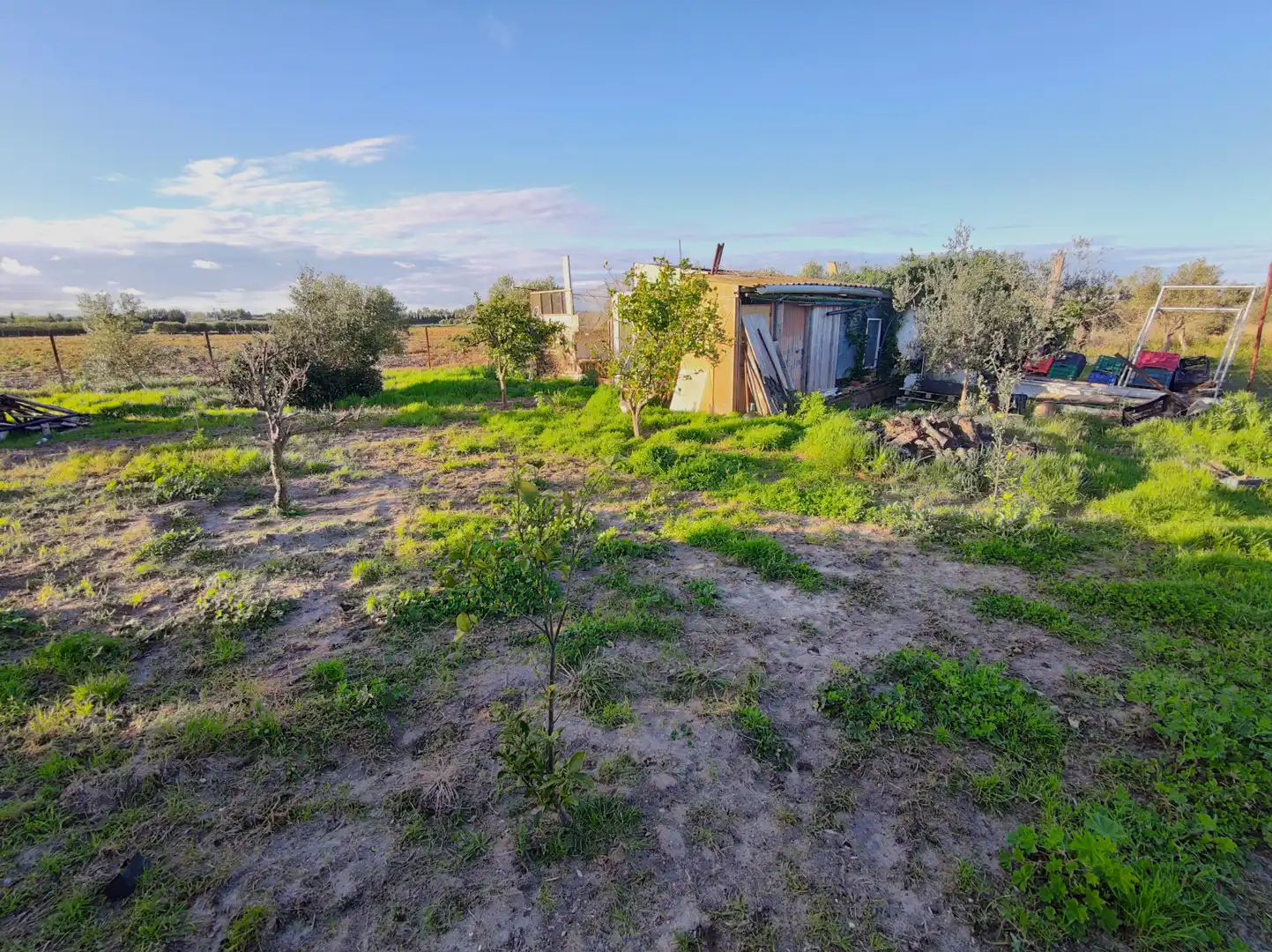Lands and plots for sale in Lebrija, imagen 14