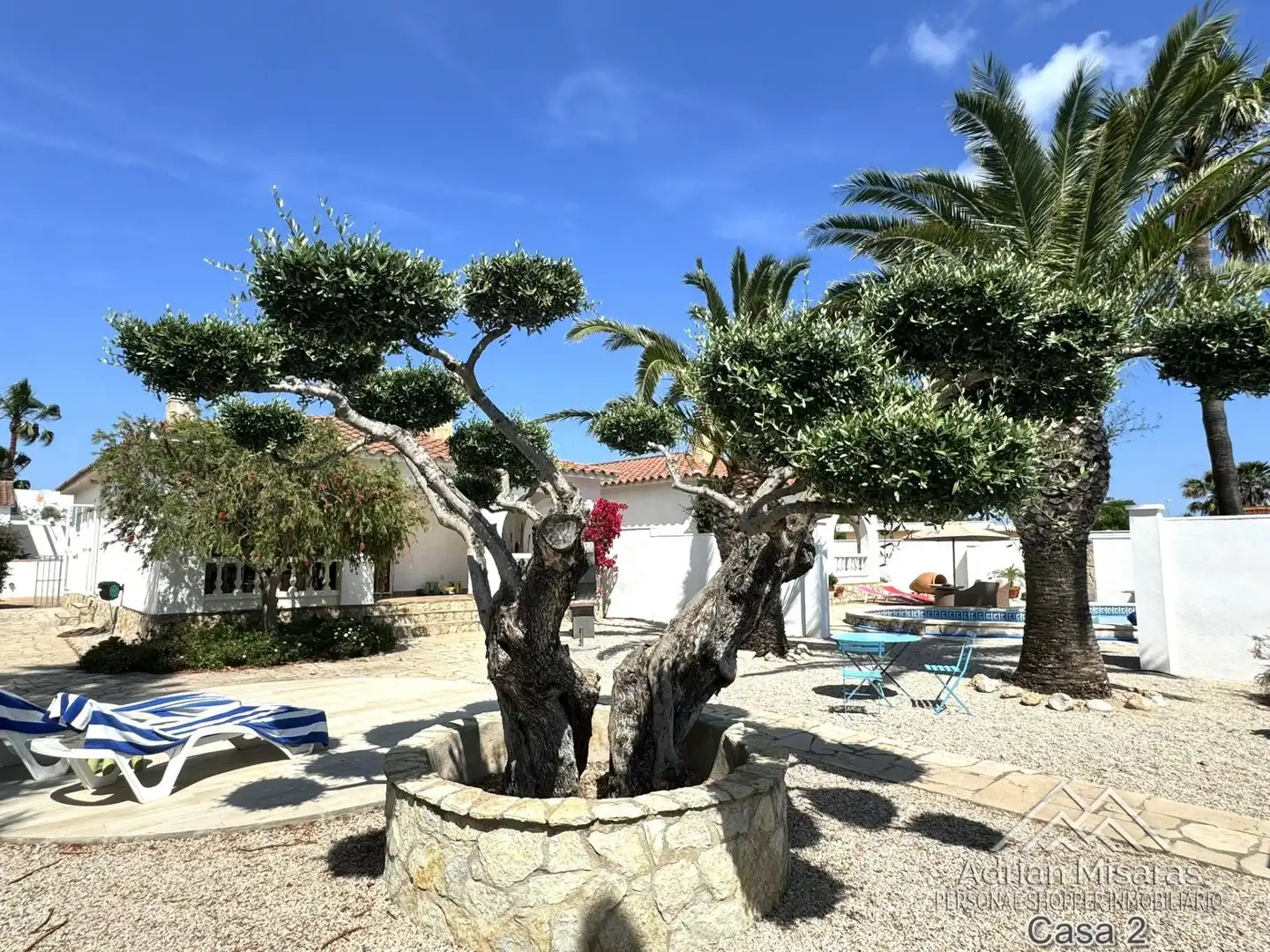 Jardín de Casa o chalet en venta en Deltebre con Aire acondicionado, Piscina y Amueblado