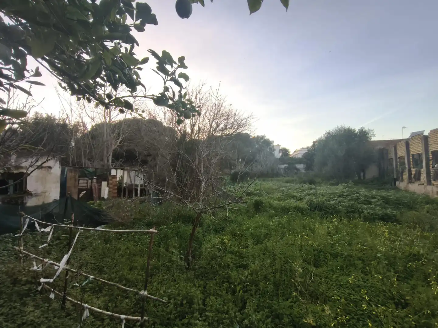 Terreni e lotti in vendita a La Casería - San Carlos, imagen 6