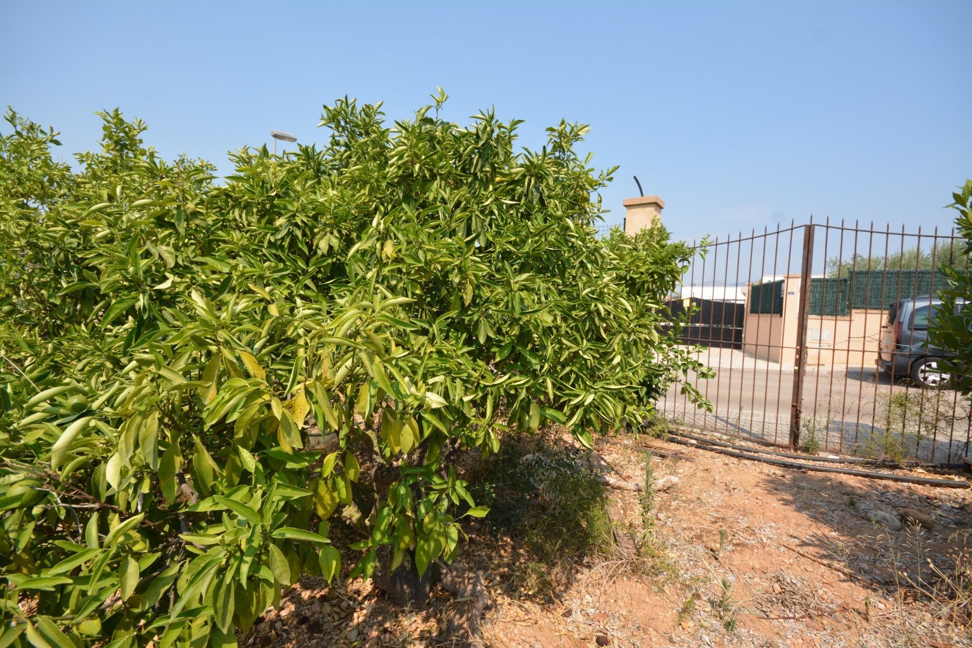 Residencial en venda en Llucmajor