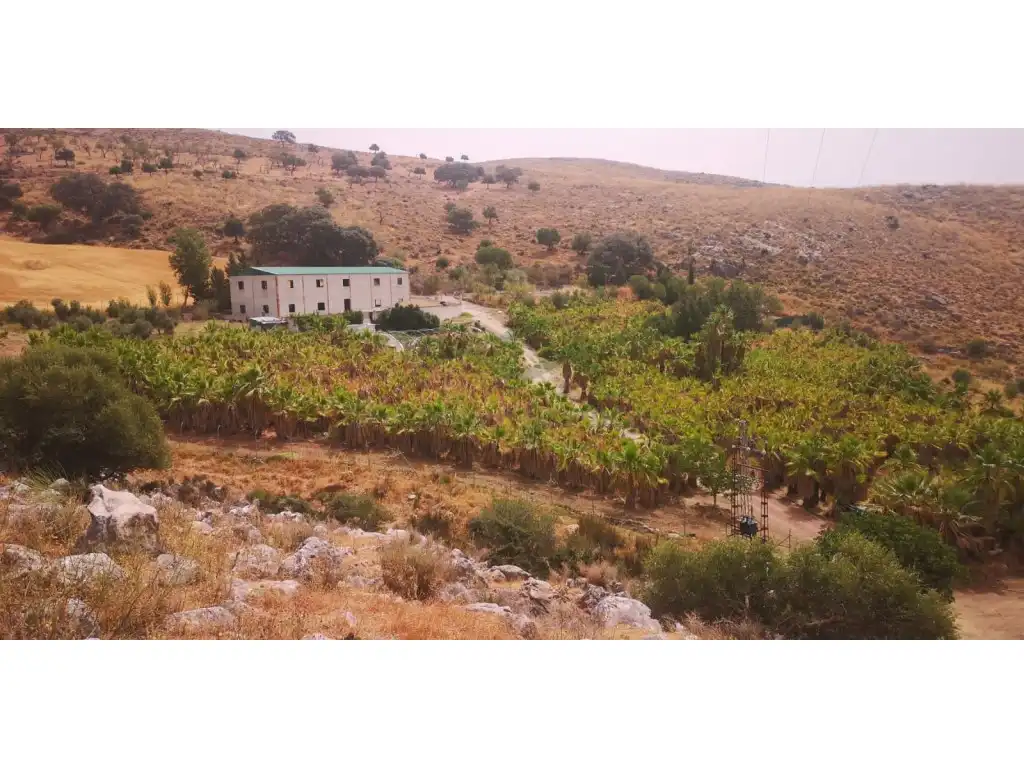 Terreni e lotti in vendita a Cañete la Real, imagen 4