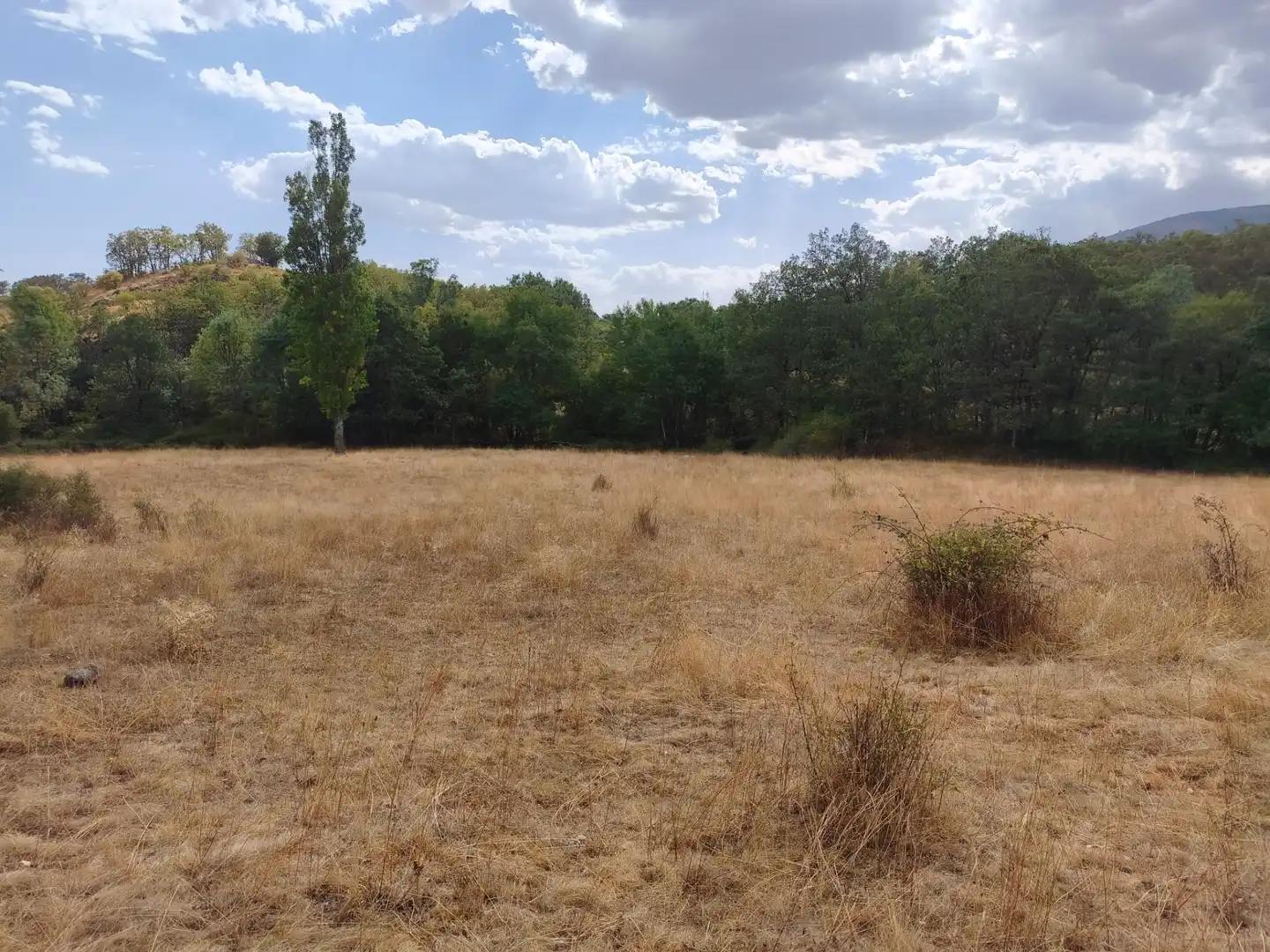 Terreno en venta en Piñuécar-Gandullas