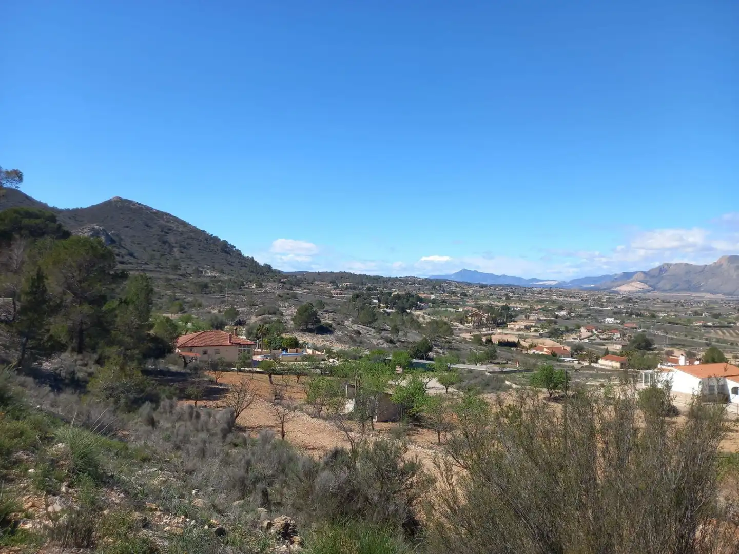 Vista exterior de Casa o chalet en venta en Hondón de los Frailes