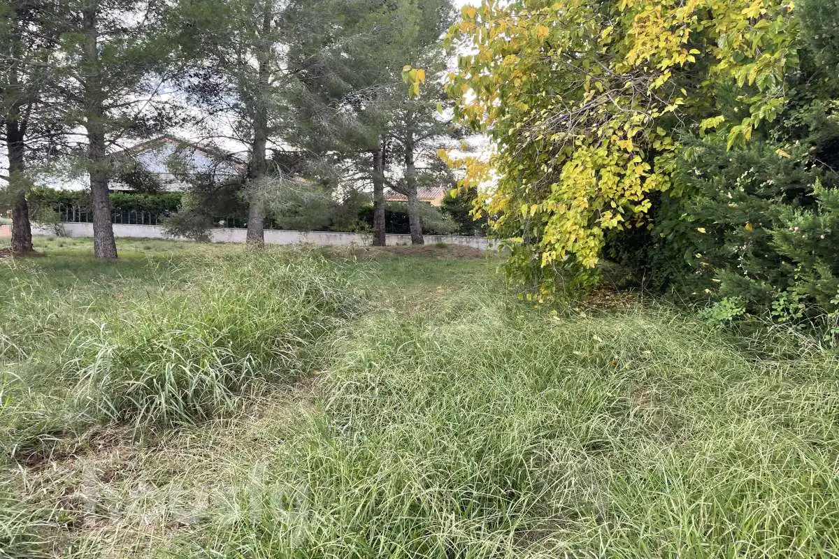 Terreny residencial en venda a CL BÀSQUET ., imagen 14