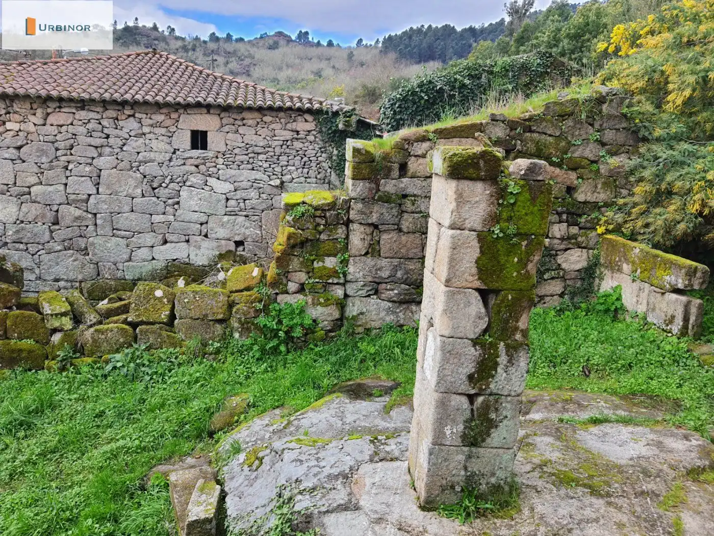 Houses for sale in San Rosendo