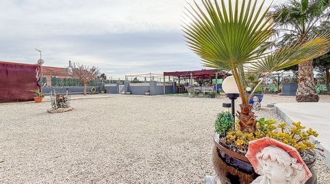 Photo 4 of Country homes for sale in Carrús Oeste, Elche / Elx