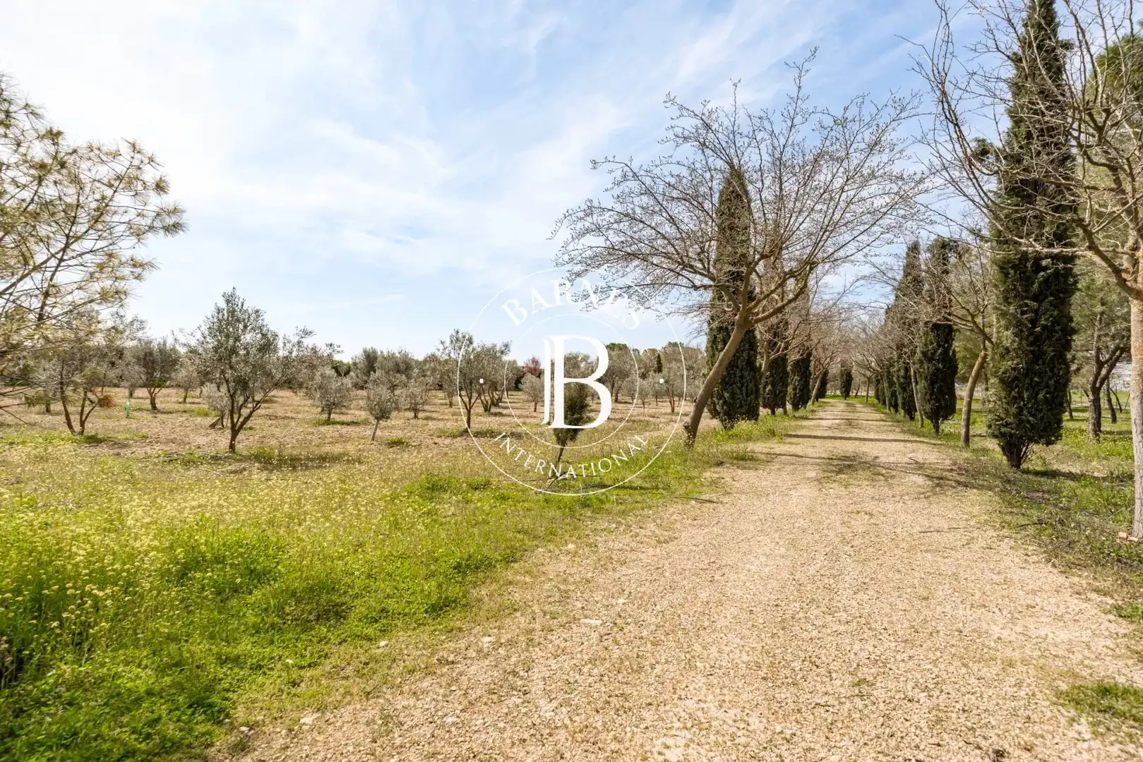 Casa o chalet en venta en Alcázar de San Juan con Jardín privado, Piscina y Amueblado