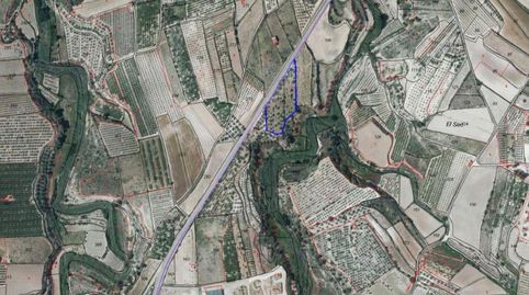 Solvia Inmobiliaria  Suelo Rústico Bèlgida, immagine 2