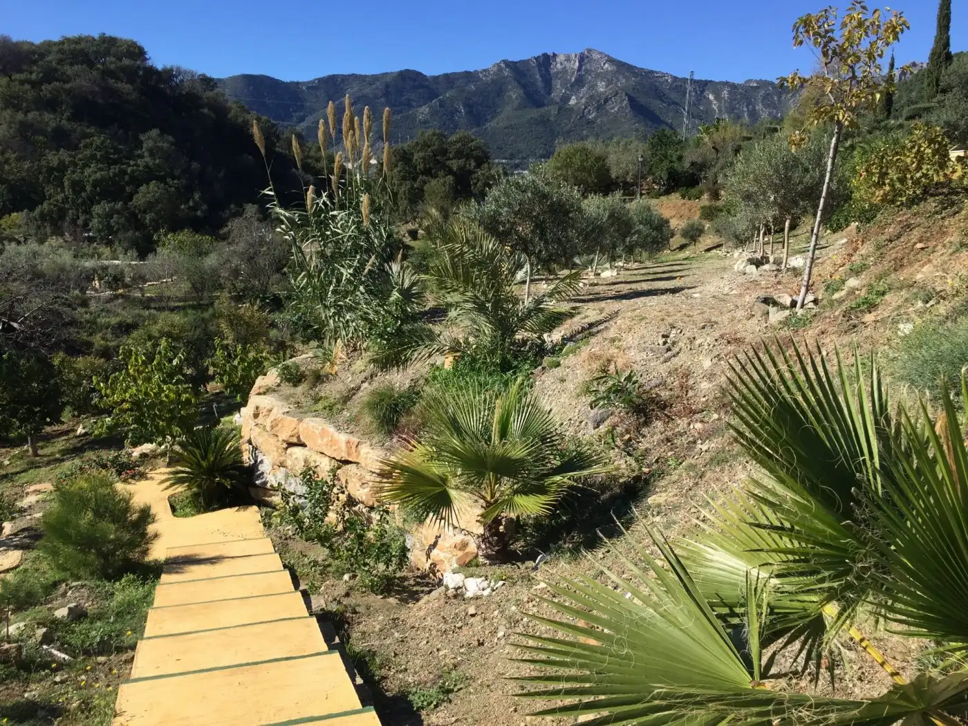 Garten von Country house zum Verkauf in Ojén mit Klimaanlage, Privatgarten und Terrasse