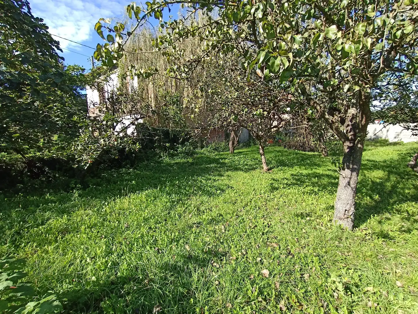 Residential land for sale in Calle Conde de Santa Barbara 31, imagen 20