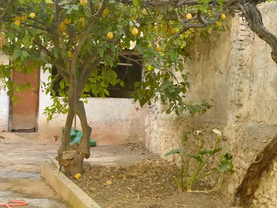 Jardí de Casa adosada en venda en Lecrín amb Terrassa i Balcó