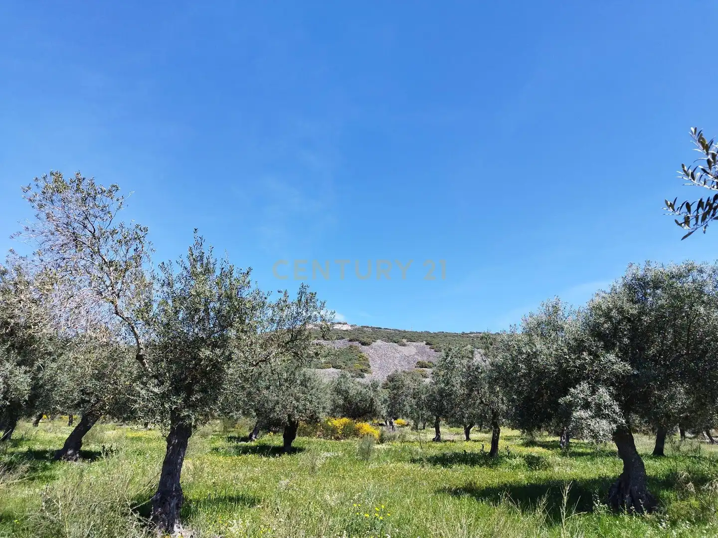 Terreni e lotti in vendita a 06430 Zalamea de la Serena, Spain, imagen 2