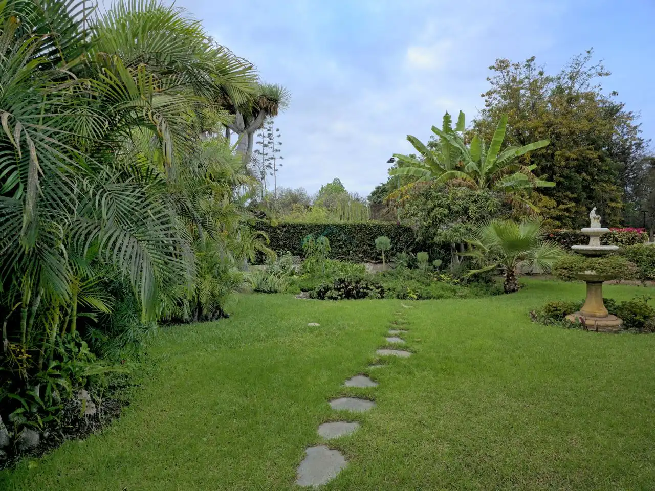 Jardí de Casa o xalet en venda en Puerto de la Cruz amb Jardí privat i Terrassa