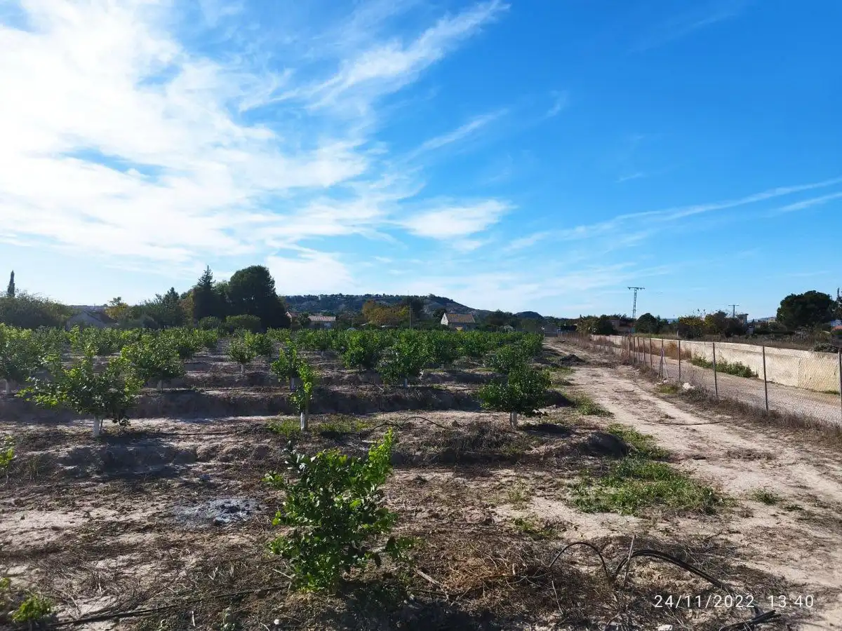 Terreny residencial en venda a El Llano, imagen 14