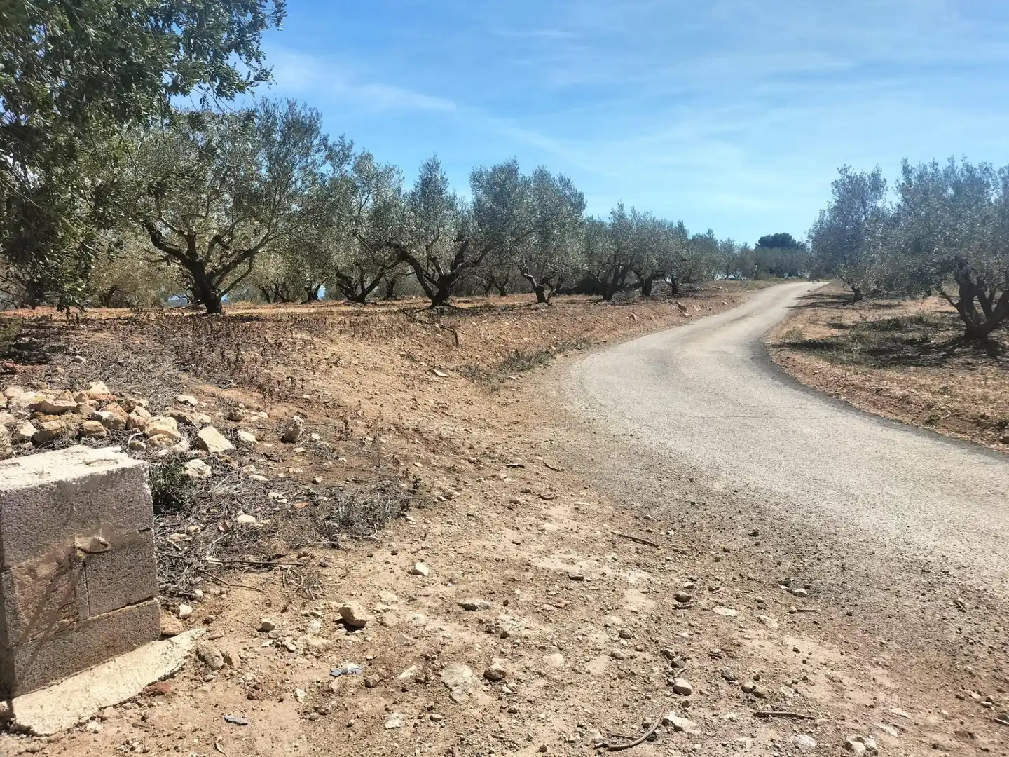Terreno rustico in vendita a Polígono 10 Parcela 488 LA LOMA. NAVARRES (VALENC, imagen 30
