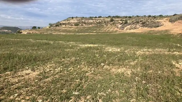 Terreni e lotti in vendita a N/A, imagen 7