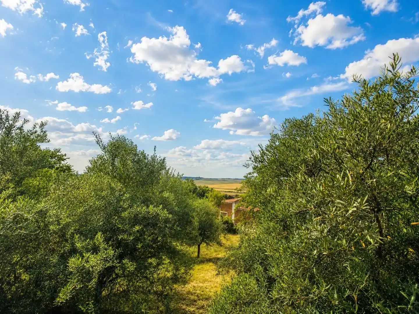 Flat for sale in Valdeavero  with Air Conditioner
