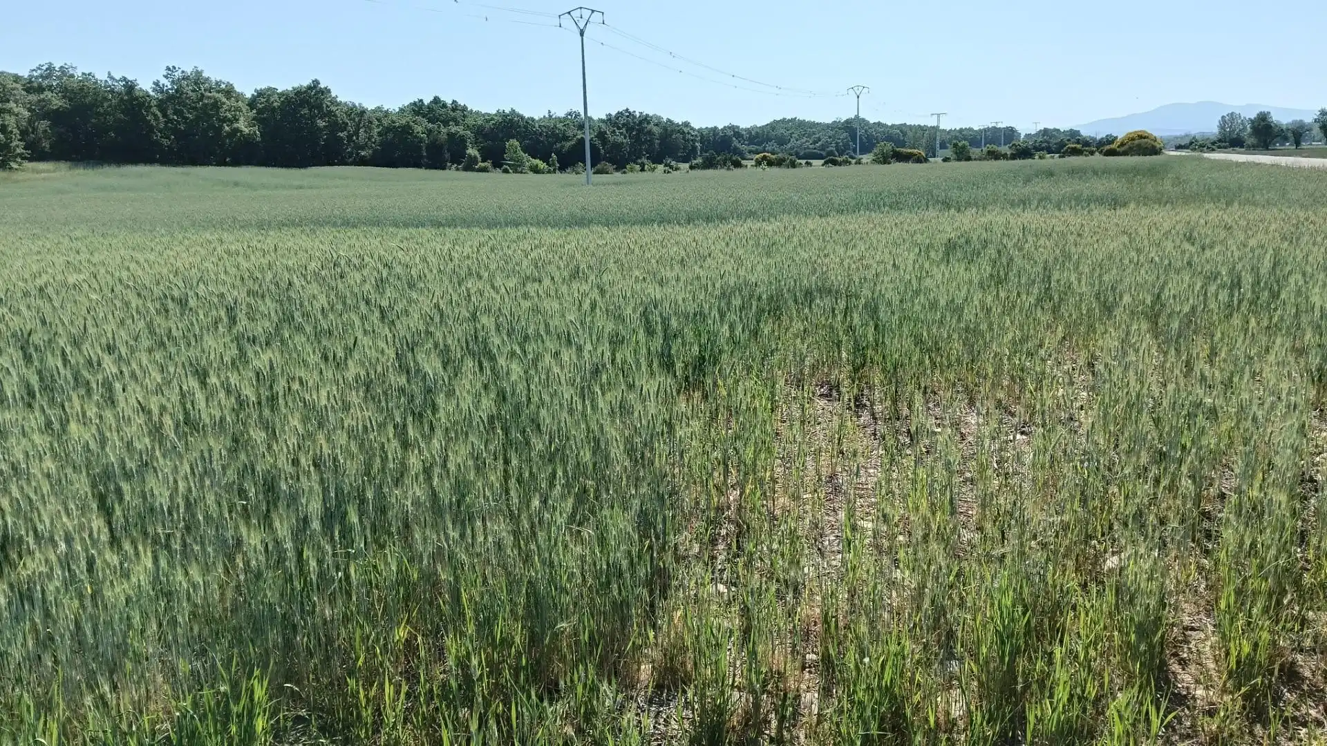 Land for sale in Ibeas de Juarros