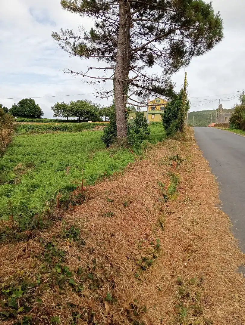 Residential for sale in Muxía