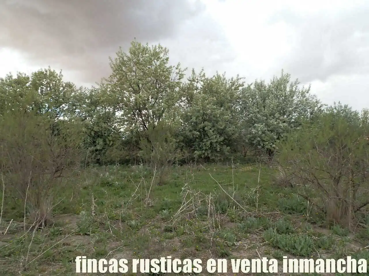 Terreny rústic en venda a Alcázar de San Juan, imagen 23