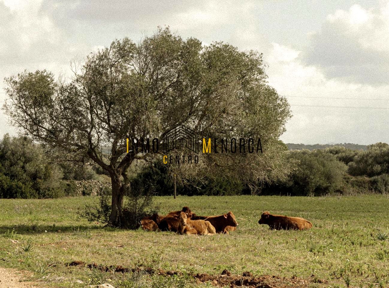 Residencial en venda en Ciutadella de Menorca