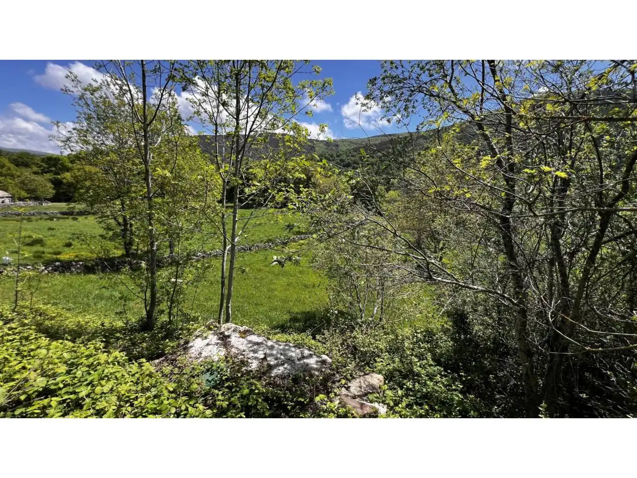 Casa o xalet en venda en Espinosa de los Monteros amb Jardí privat i Terrassa