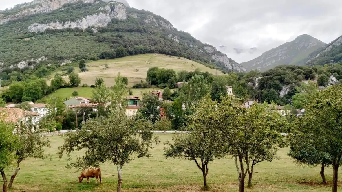 Vista exterior de Finca rústica en venta en Cabrales con Calefacción, Amueblado y Horno