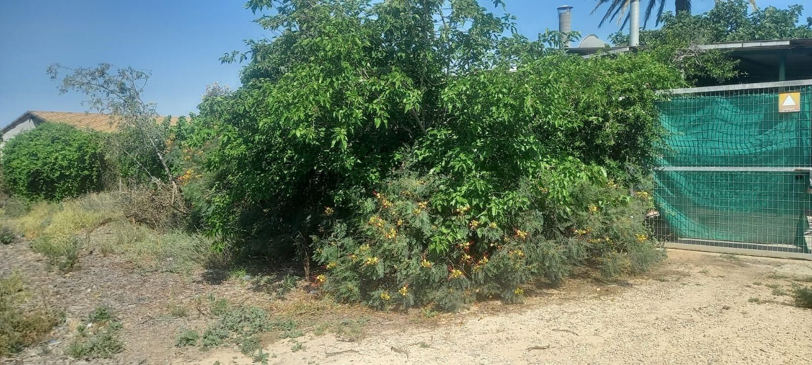 Finca rústica en venda en  Murcia Capital