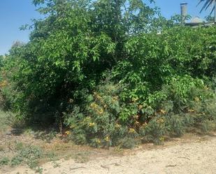 Finca rústica en venda en  Murcia Capital