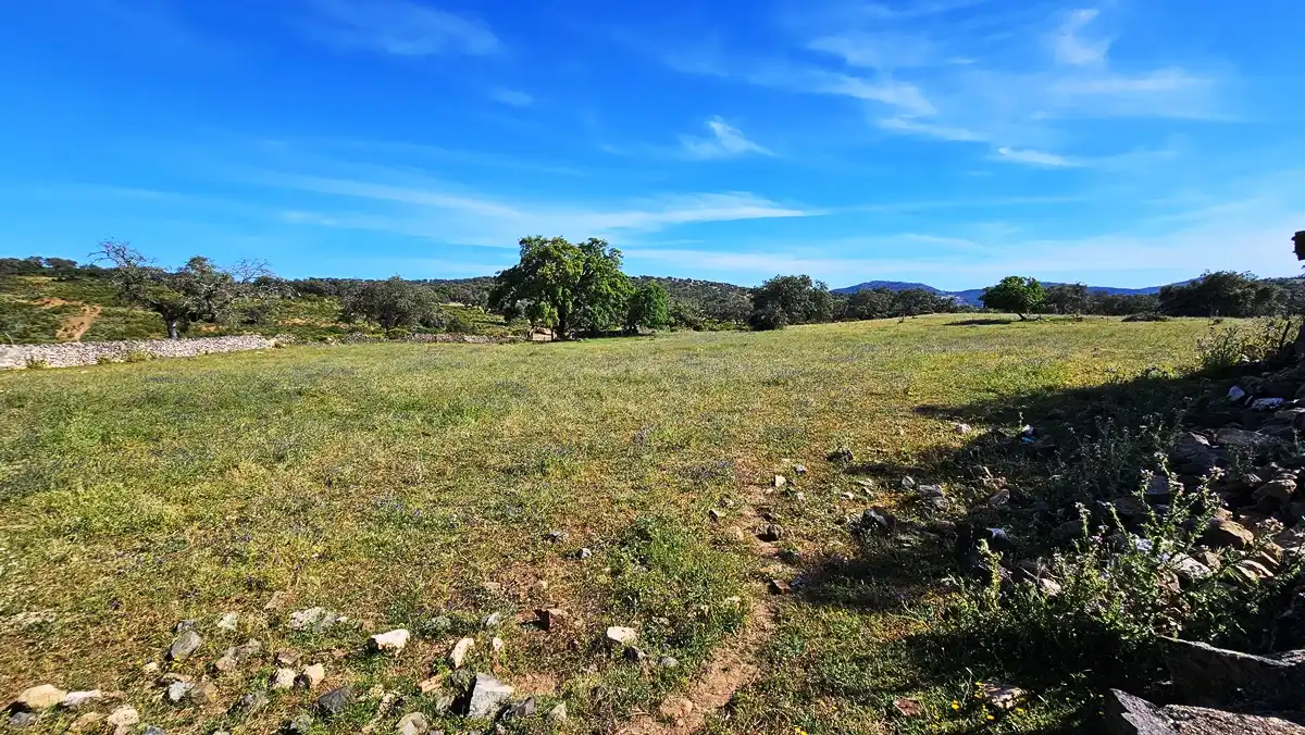 Country homes for sale in Zufre  with Private garden