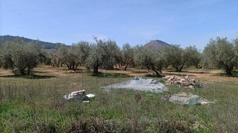 Foto 2 de Finca rústica en venta en Polígono la Zanja, Albolote, Granada