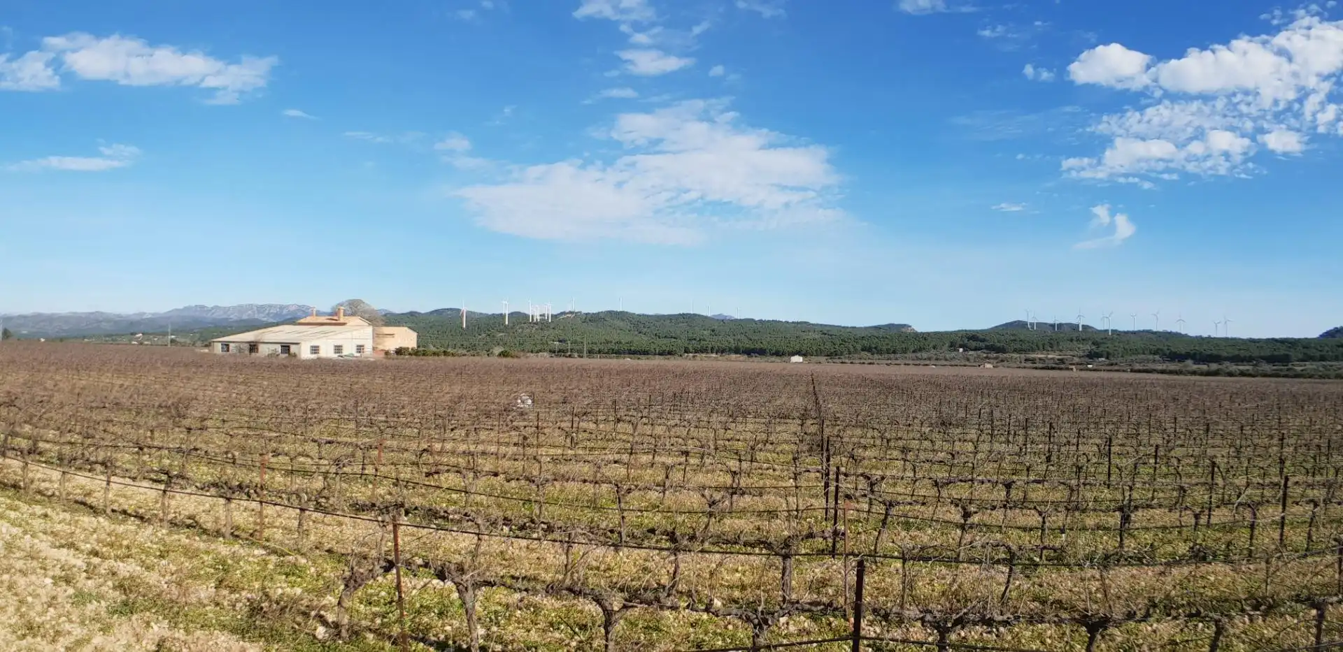 Finca rústica en venta en El Perelló con Jardín privado, Terraza y Trastero
