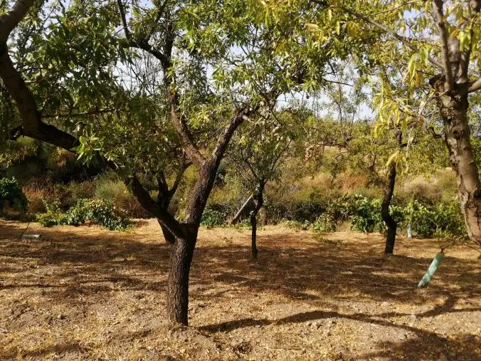 Terreni e lotti in vendita a Lecrín, imagen 10